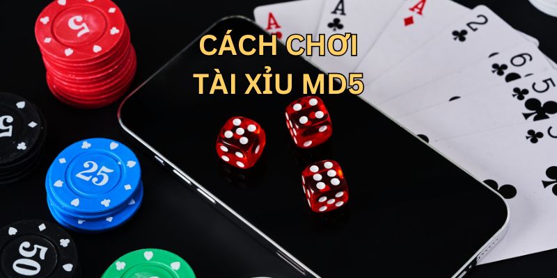 Cách chơi tài xỉu MD5 cơ bản
