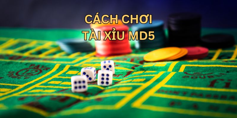 Mẹo cược tài xỉu MD5 của dân chơi chuyên nghiệp