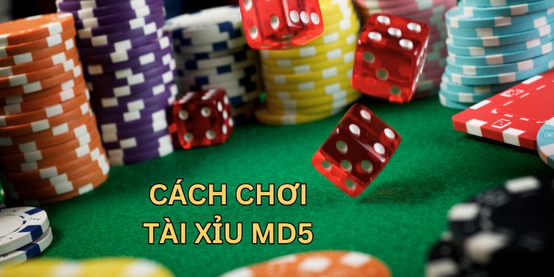 Mẹo cược tài xỉu MD5 của dân chơi chuyên nghiệp